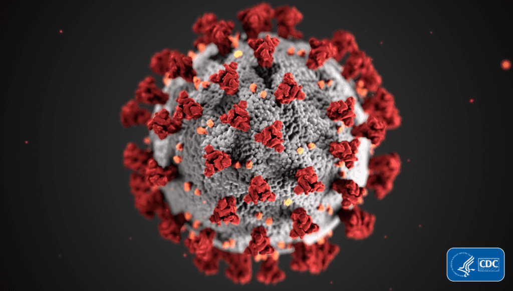 SARS-CoV-2 Coronavirus image provided by the CDC